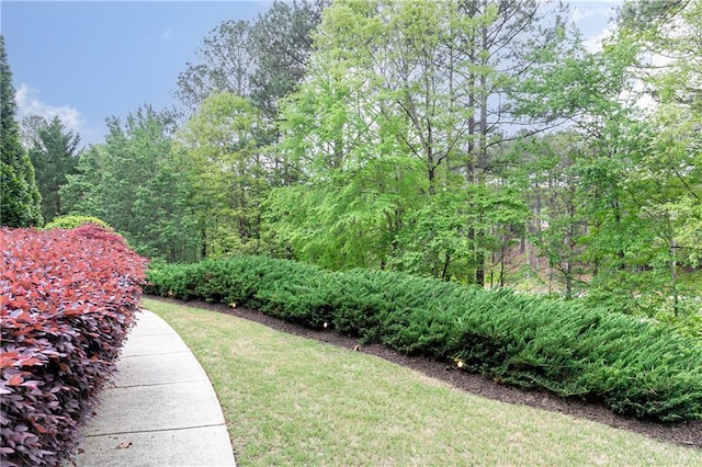 176 Nightwind Trce, Acworth, GA 30101 - view of green lawn