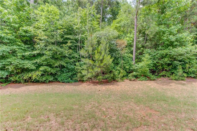 4241 Summer Breeze Way, Buford, GA 30518 - view of grassy yard featuring a view of trees