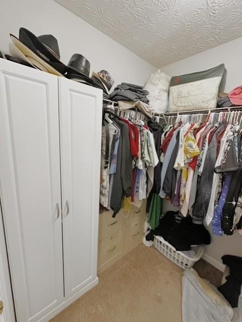 spacious closet featuring light colored carpet