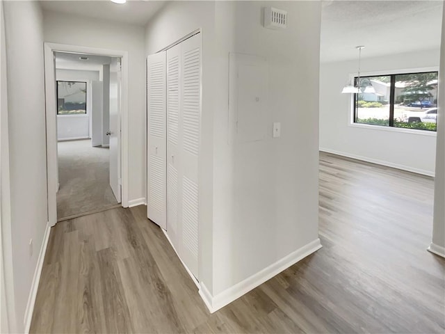 1152 Country Ct, Lawrenceville, GA 30044 - corridor featuring wood finished floors and baseboards