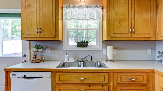 188 Crystal Creek Dr, Jasper, GA 30143 - kitchen with white dishwasher, light countertops, and plenty of natural light