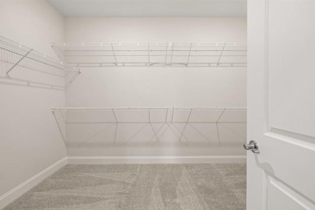 walk in closet featuring carpet floors