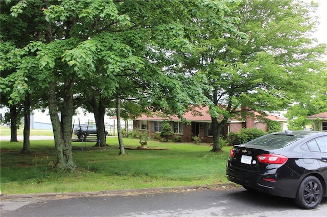 view of front of house with a front lawn