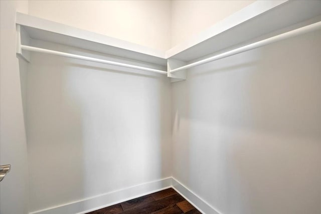 walk in closet featuring dark wood-type flooring