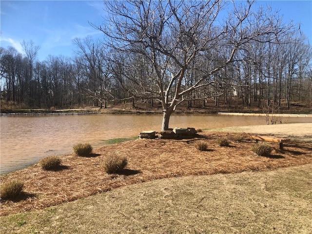 view of yard with a water view