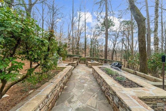 view of property's community with a patio