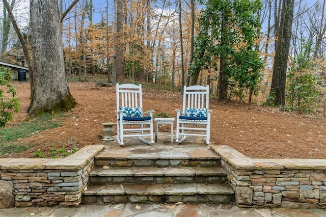 view of yard with a patio