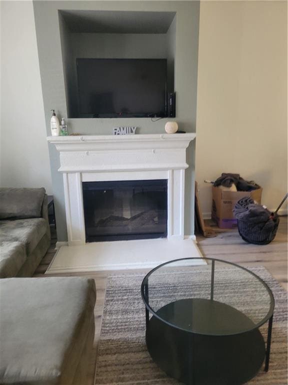 living room with a glass covered fireplace and wood finished floors