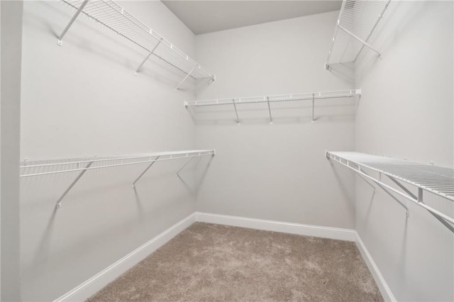 spacious closet featuring light carpet