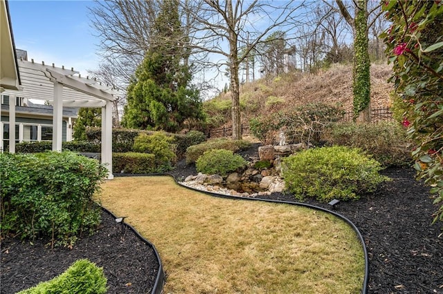 view of yard featuring a pergola