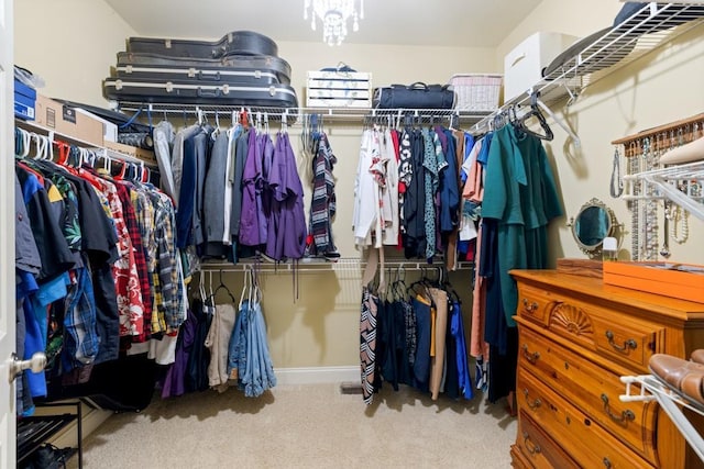 spacious closet featuring carpet flooring