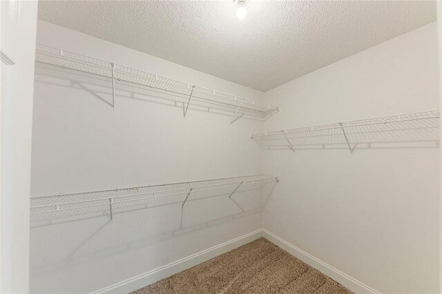 51 Legend Creek Way, Douglasville, GA 30134 - view of basement