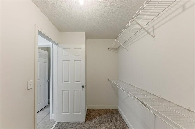 51 Legend Creek Way, Douglasville, GA 30134 - view of yard