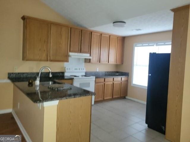 kitchen with under cabinet range hood, a peninsula, a sink, electric stove, and freestanding refrigerator