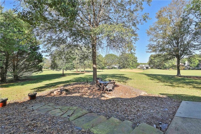 view of green lawn