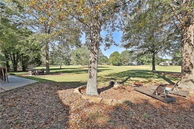 view of grassy yard with view of scattered trees and a patio