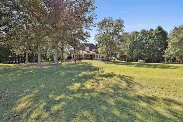 view of green lawn