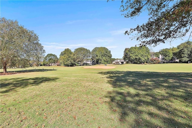 view of grassy yard featuring golf course view