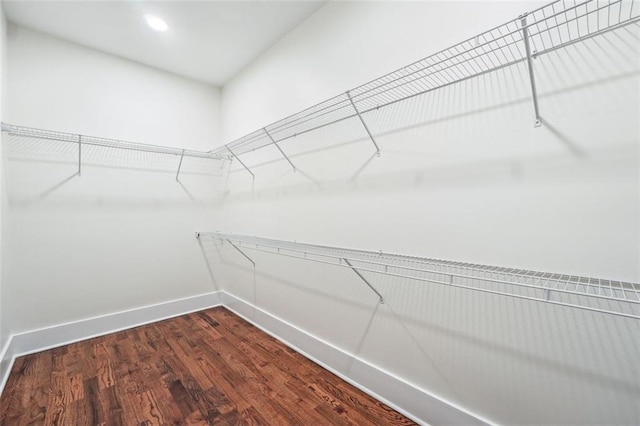 walk in closet featuring dark hardwood / wood-style flooring