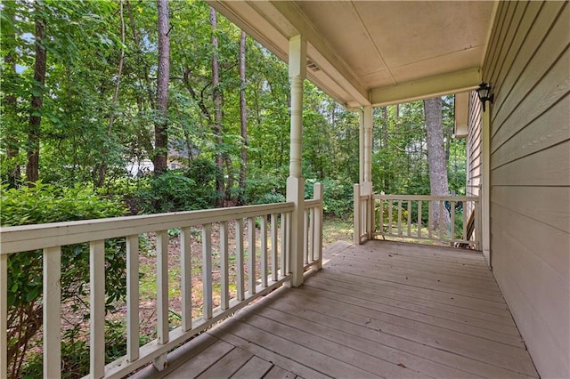 59 Cedar Way, Dallas, GA 30132 - view of porch