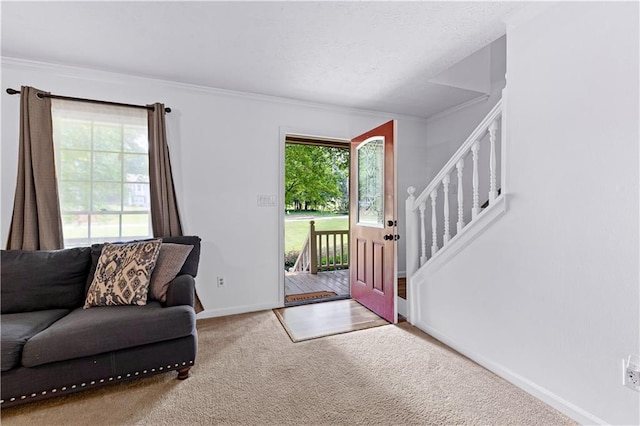 59 Cedar Way, Dallas, GA 30132 - foyer entrance featuring carpet, baseboards, ornamental molding, and stairs