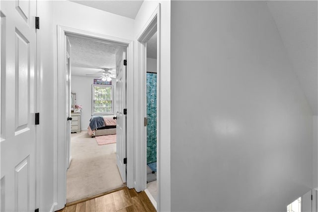 59 Cedar Way, Dallas, GA 30132 - hallway with a textured ceiling, wood finished floors, and baseboards