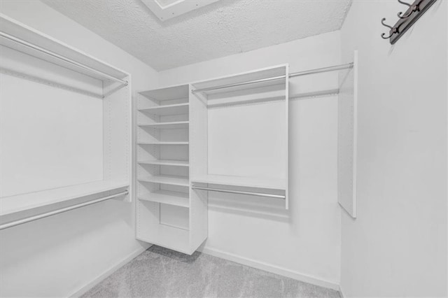 spacious closet with light carpet