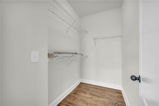 151 Chestnut Chase, Hoschton, GA 30548 - walk in closet with wood finished floors