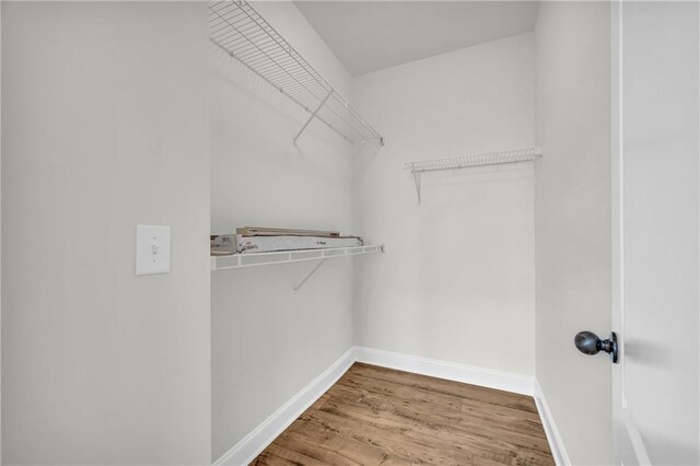 walk in closet featuring wood-type flooring