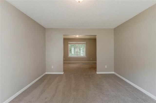 carpeted spare room featuring baseboards and a textured ceiling