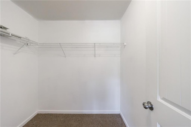 8475 Douglass Trl, Jonesboro, GA 30236 - spacious closet featuring carpet floors