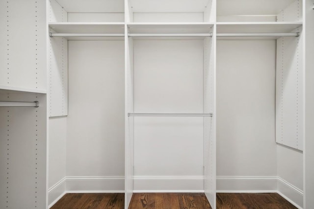 spacious closet featuring dark wood-type flooring