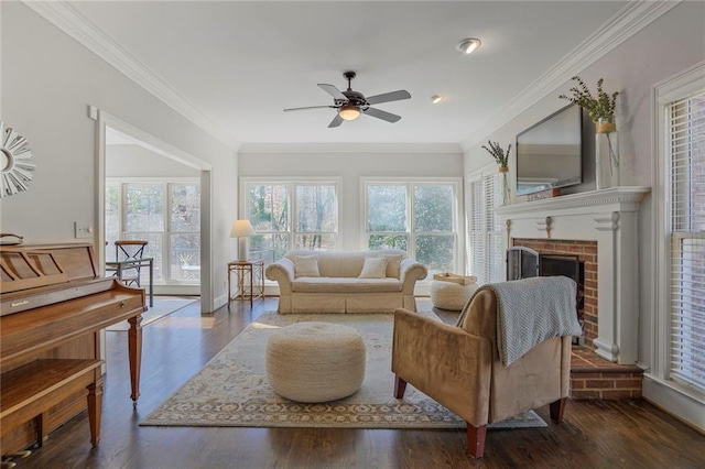 living room featuring ornamental molding, a fireplace, plenty of natural light, and wood finished floors