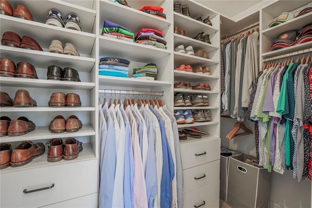 view of spacious closet