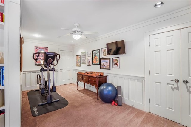 workout room featuring ceiling fan, ornamental molding, a wainscoted wall, and carpet