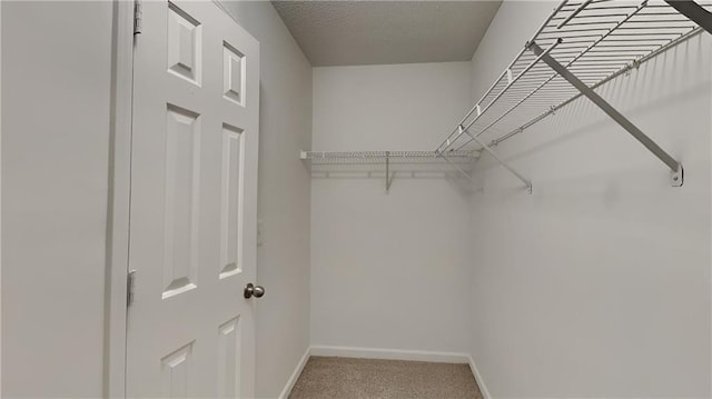 walk in closet featuring carpet