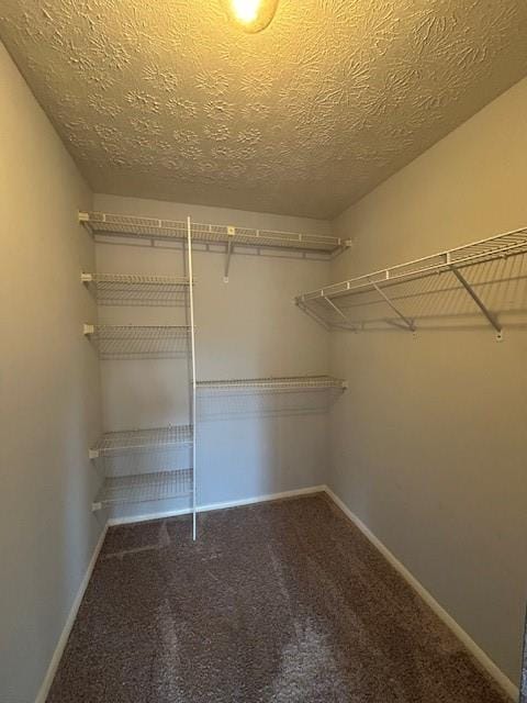 walk in closet with carpet floors