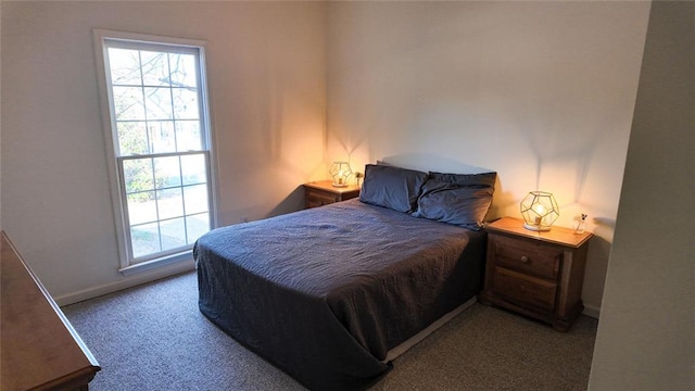 bedroom with baseboards and carpet floors