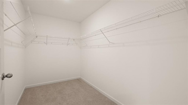 2939 Champions Way, Loganville, GA 30052 - spacious closet with carpet floors