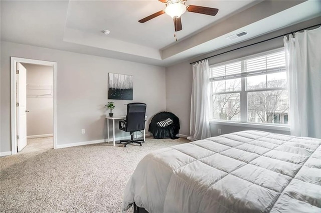 carpeted bedroom with a ceiling fan, baseboards, visible vents, a walk in closet, and a raised ceiling