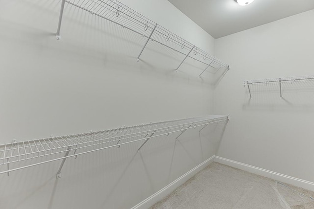 spacious closet featuring carpet floors