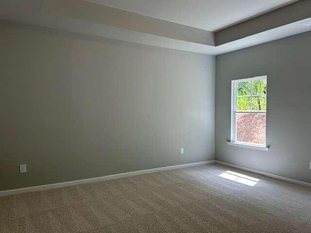 carpeted empty room featuring a raised ceiling