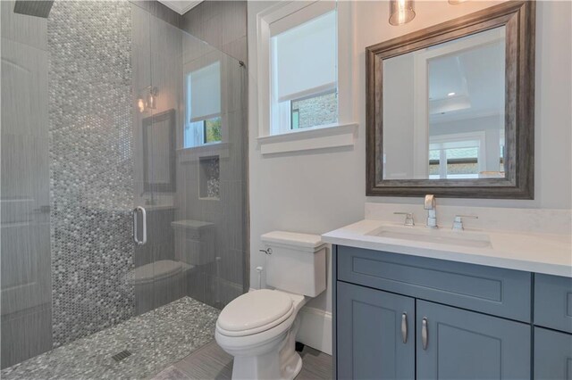 full bath featuring plenty of natural light, toilet, a stall shower, and vanity