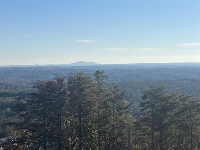 property view of mountains featuring a forest view