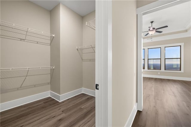 walk in closet with ceiling fan and wood finished floors