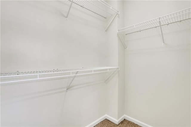 3485 Walnut Rdg, Atlanta, GA 30349 - walk in closet with carpet floors