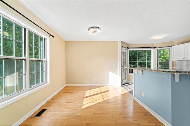 interior space with baseboards, a healthy amount of sunlight, and light wood-style flooring