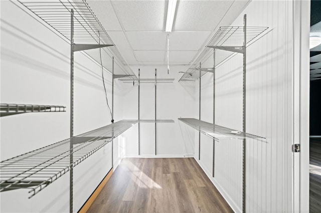 walk in closet with wood finished floors