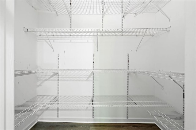 walk in closet featuring wood finished floors