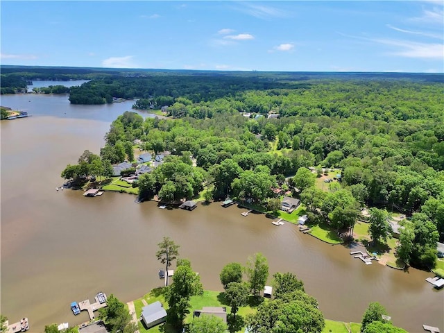 184 Bradley Rd, Jackson, GA 30233 - aerial view of a forest and a large body of water